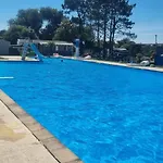 Kemp Jardim Bonito 11zz *