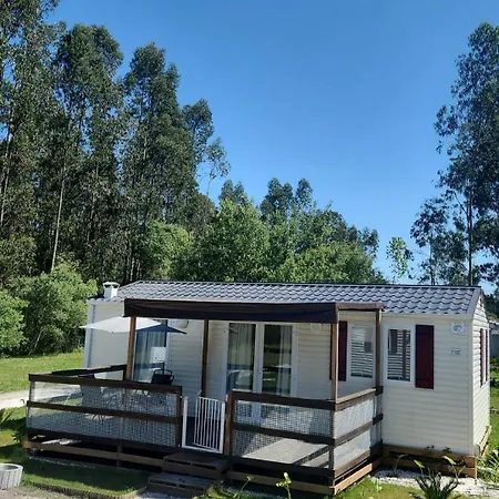 Jardim Bonito 11zz *