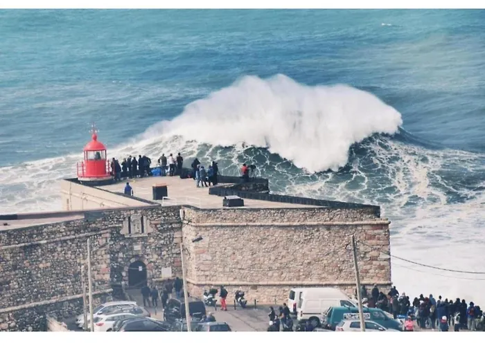 Campsite Jardim Bonito 11zz Pataias