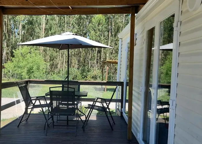 Jardim Bonito 11zz *