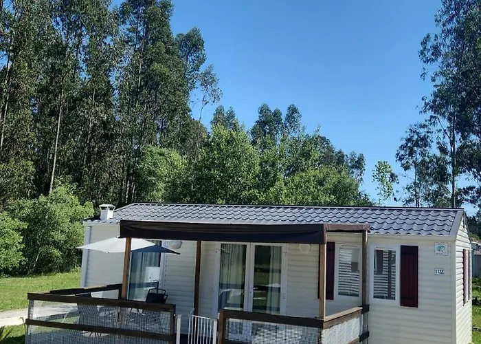 Jardim Bonito 11zz *