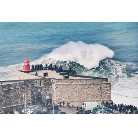 Kemp Jardim Bonito 11zz Pataias