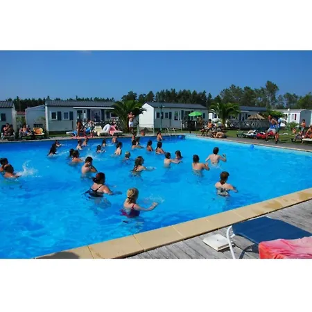 Jardim Bonito 11zz Kemp *