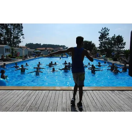 Jardim Bonito 11zz Kemp