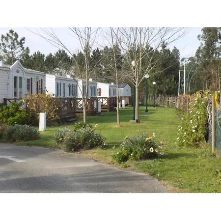 Kemp Jardim Bonito 11zz *