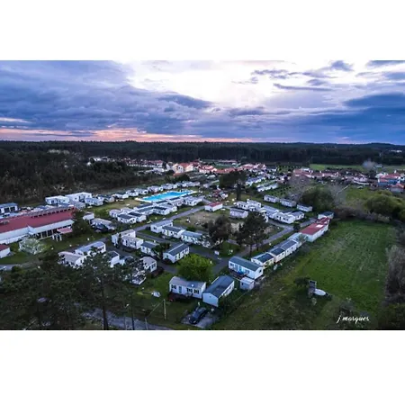 Kemp Jardim Bonito 11zz *