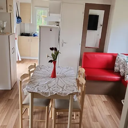 Jardim Bonito 11zz Kemp