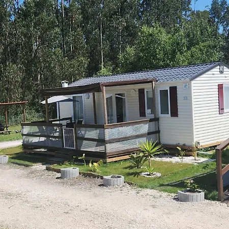 Jardim Bonito 11zz Kemp Pataias